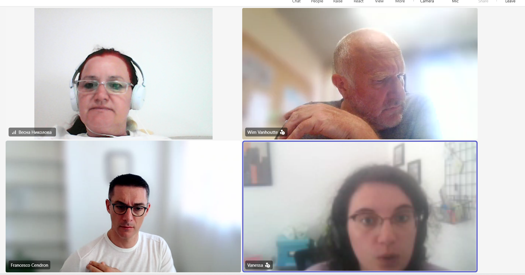 Online meeting 19 June 2026 — screenshot 4